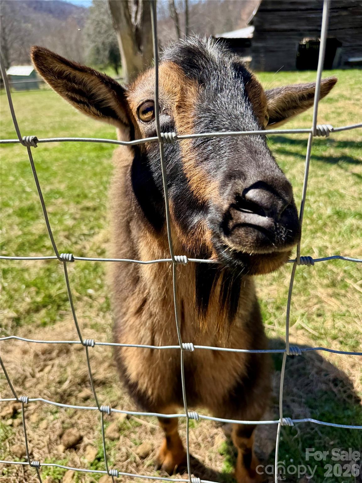 99999 North Fork Road