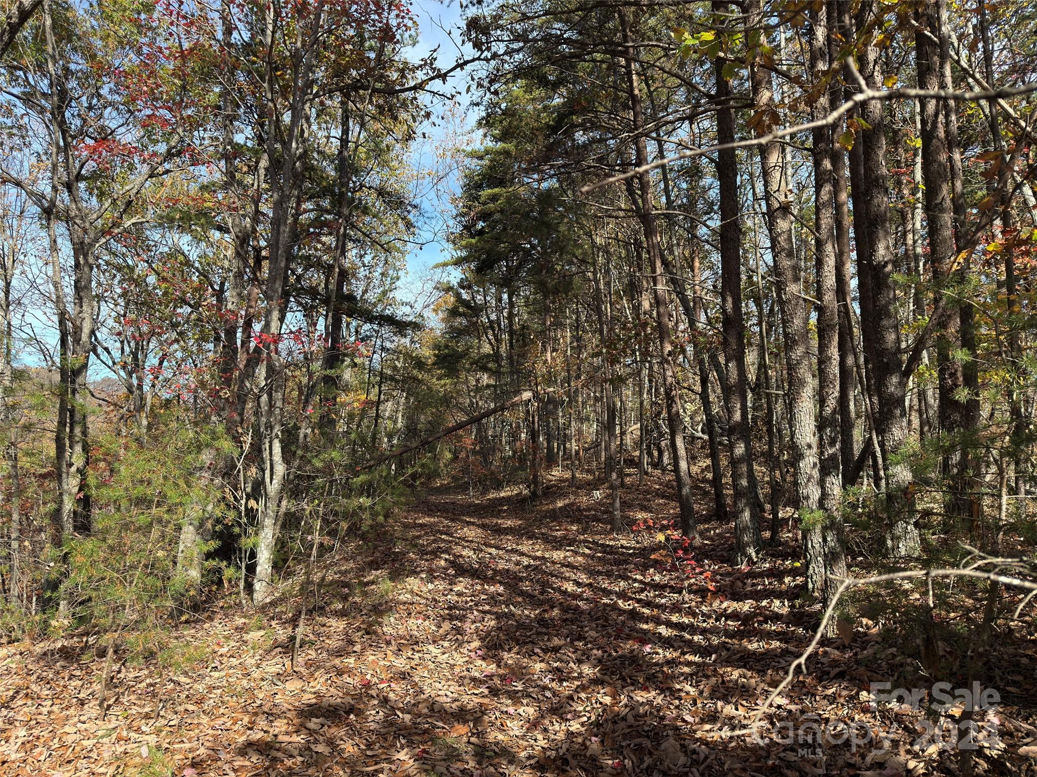 27 Mountain Lookout Drive 27