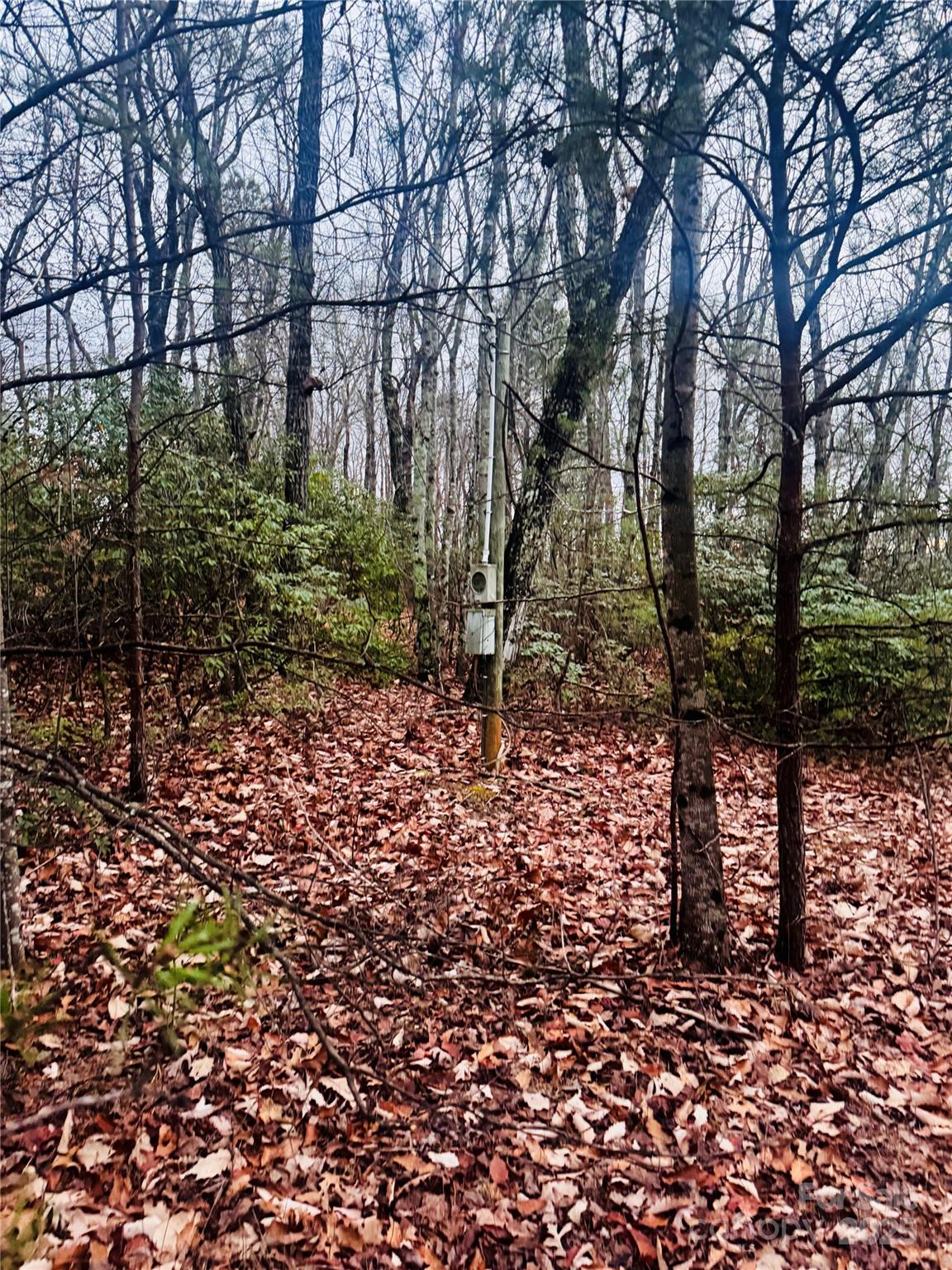 000 Raven Ridge Trail