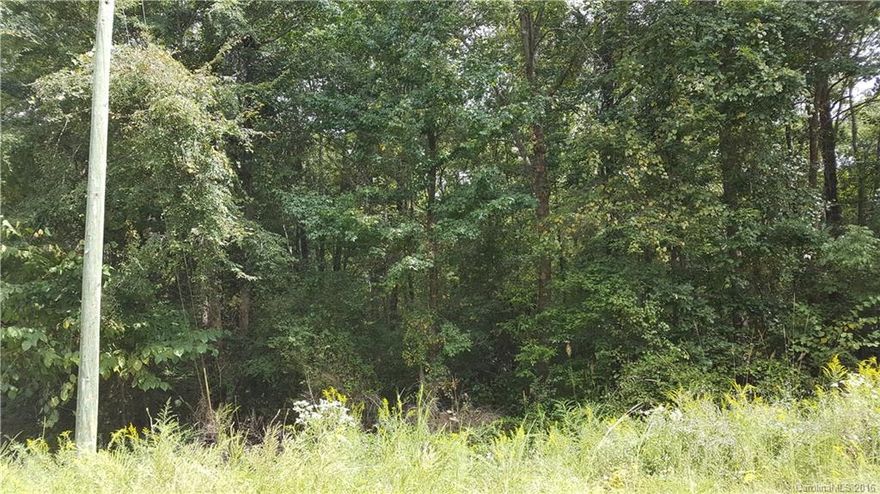Build your own home and get what you want. The property is 6.51 +- acres. There is no perk test on file for this property, will also need to purchase a water tap, an