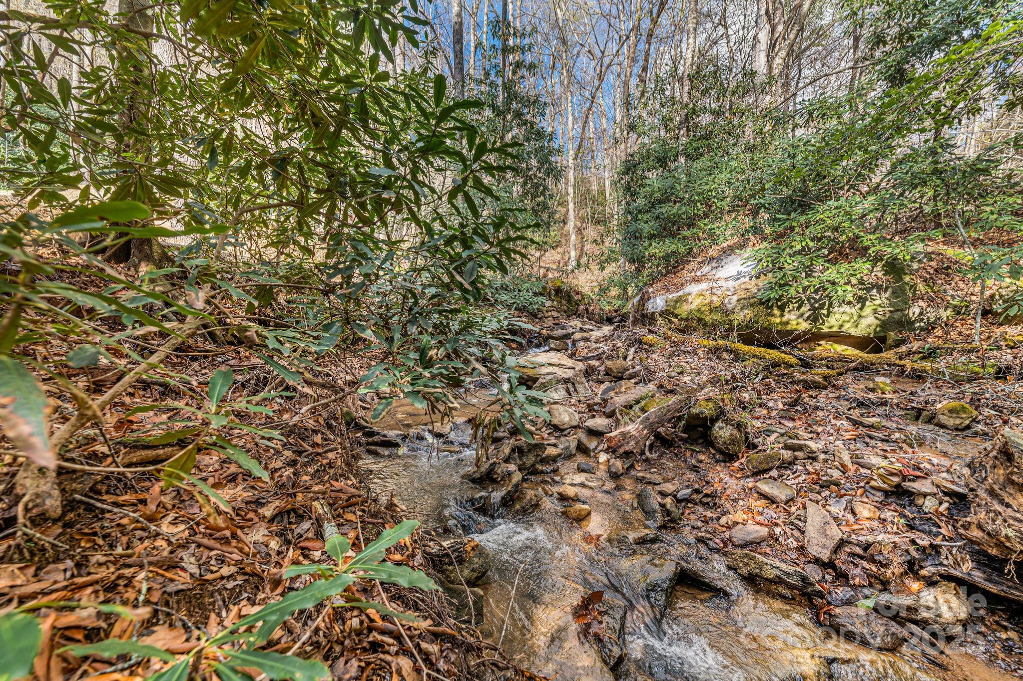 Riceville Forest - Residential