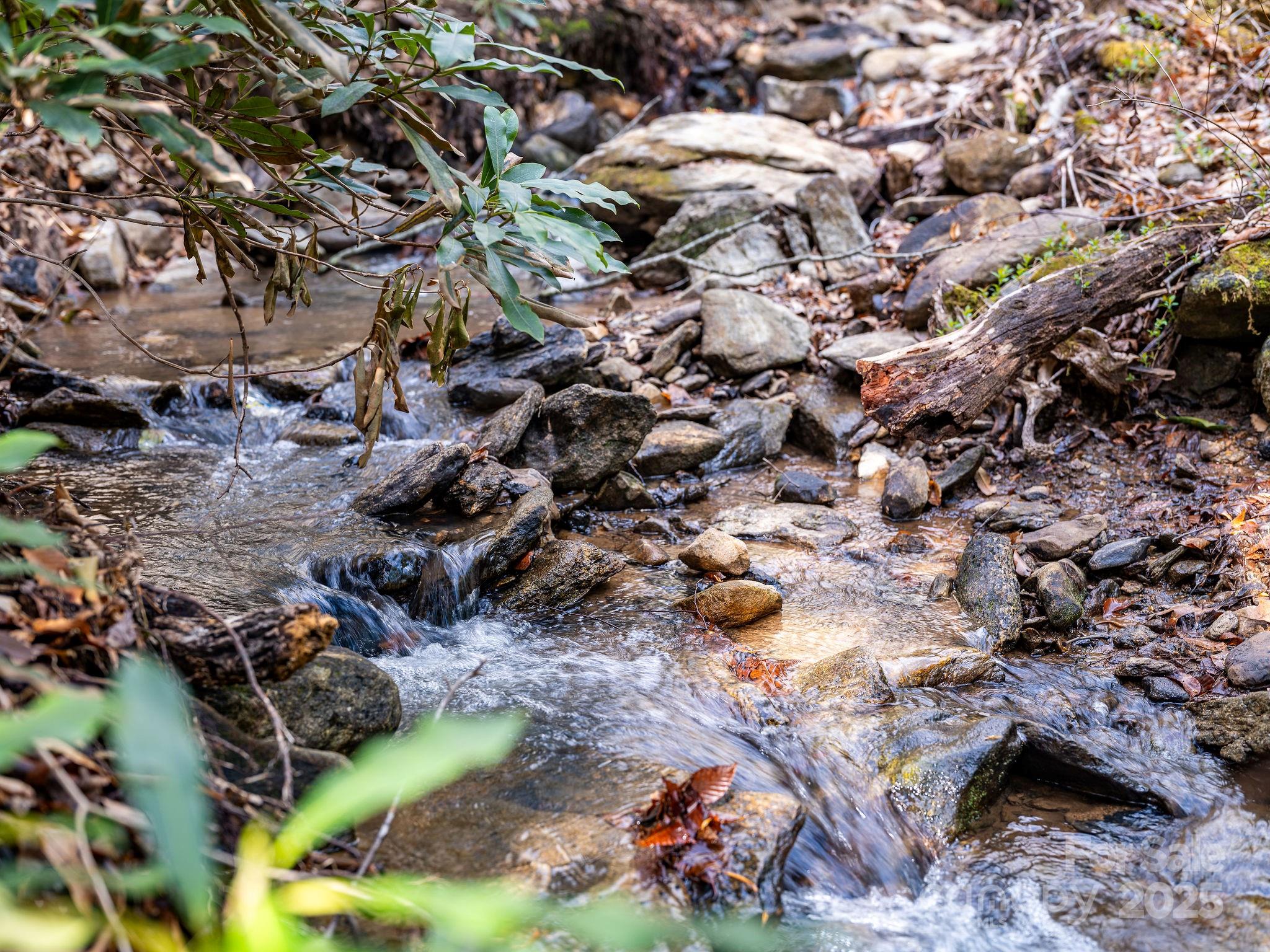 Riceville Forest - Residential