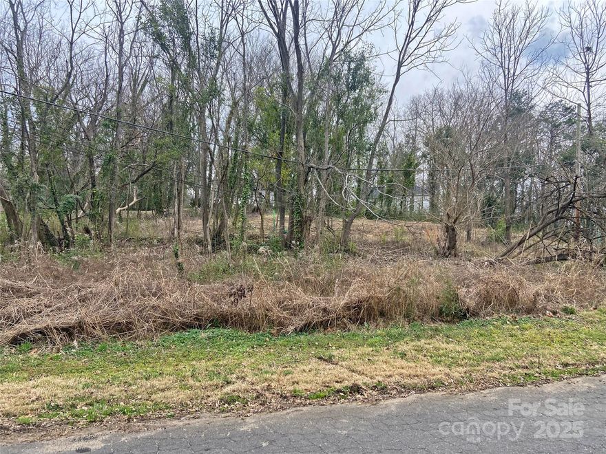Great opportunity to build on this SF-4 zoned residential lot in Rock Hill with a ton of road frontage. Ideal for a spec or personal home in an established neighborhood. Conveniently located near downtown, this is a solid choice for builders or investors looking for a project. Buyer to verify all zoning and building requirements. Per the City of Rock Hill, overhead power lines crossing the property are scheduled to be removed. Can also be sold with the lot next door at 93 Virginia St - MLS# 4227869.