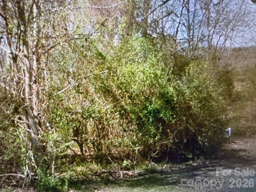 Lot has been mostly cleared with grading work. Close to shopping and restaurants, yet private spacious lot on dead end road. Buyers are asked to do their own due diligence.