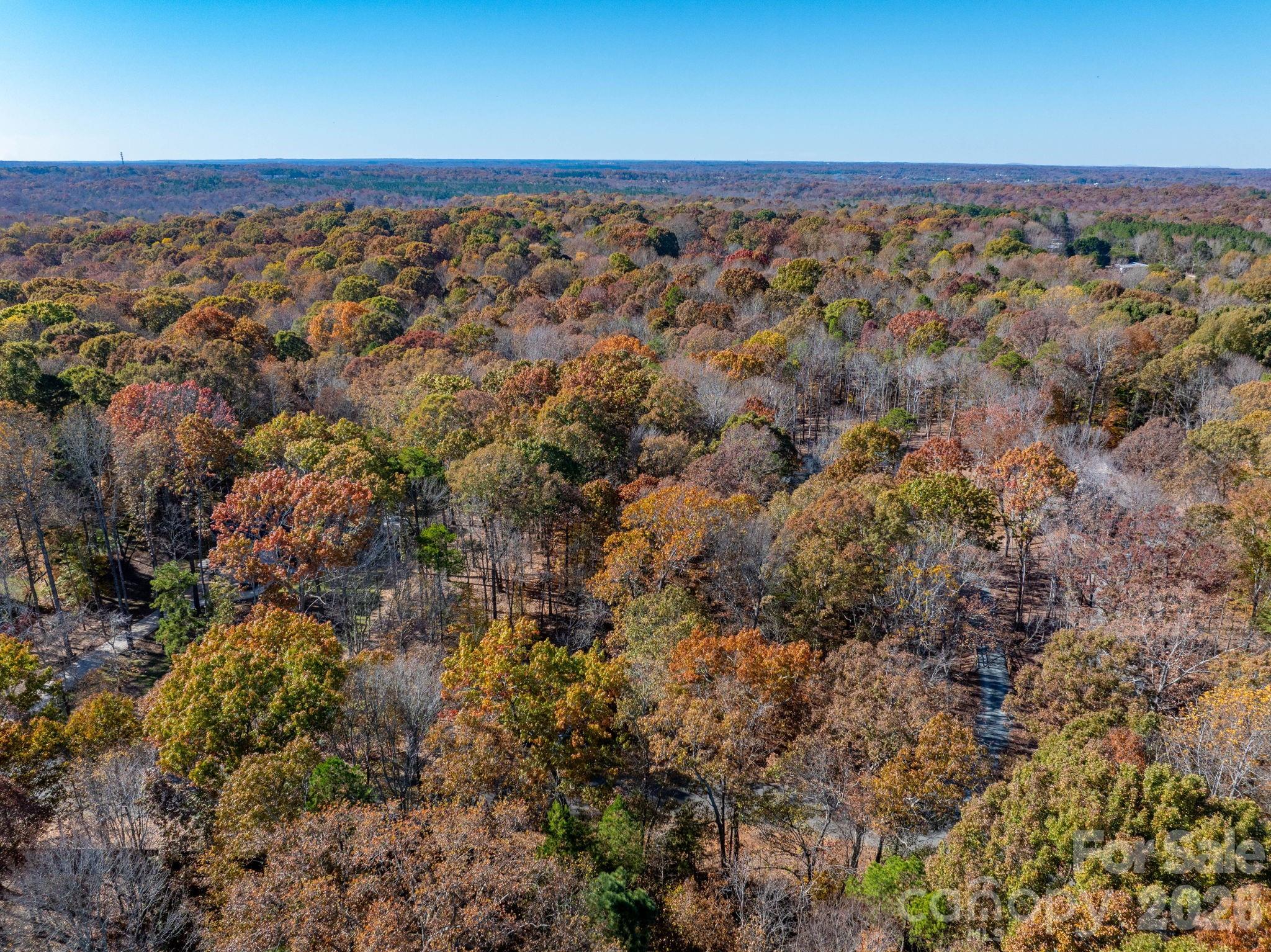 Pleasant Ridge - Land