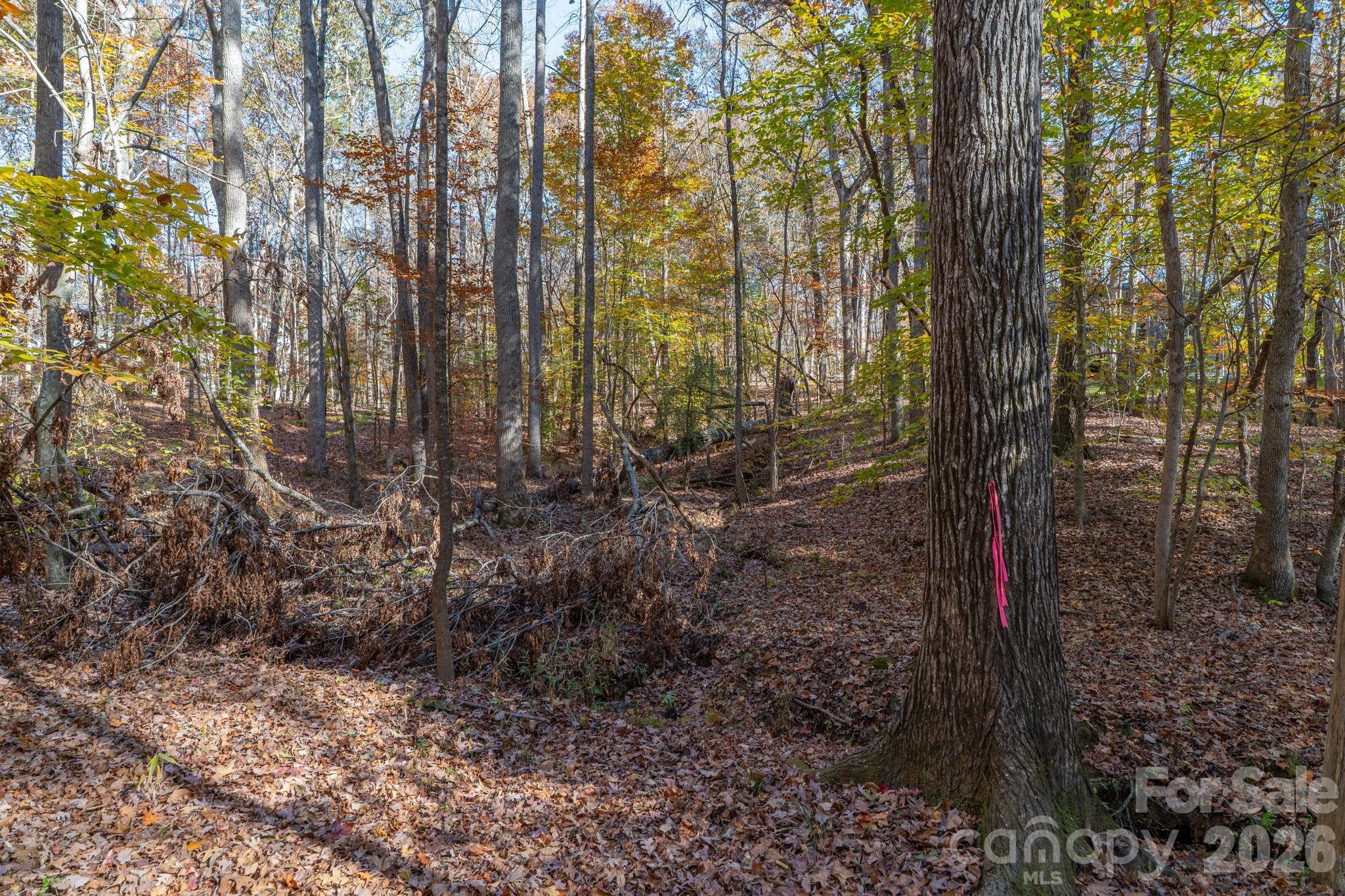 Pleasant Ridge - Land