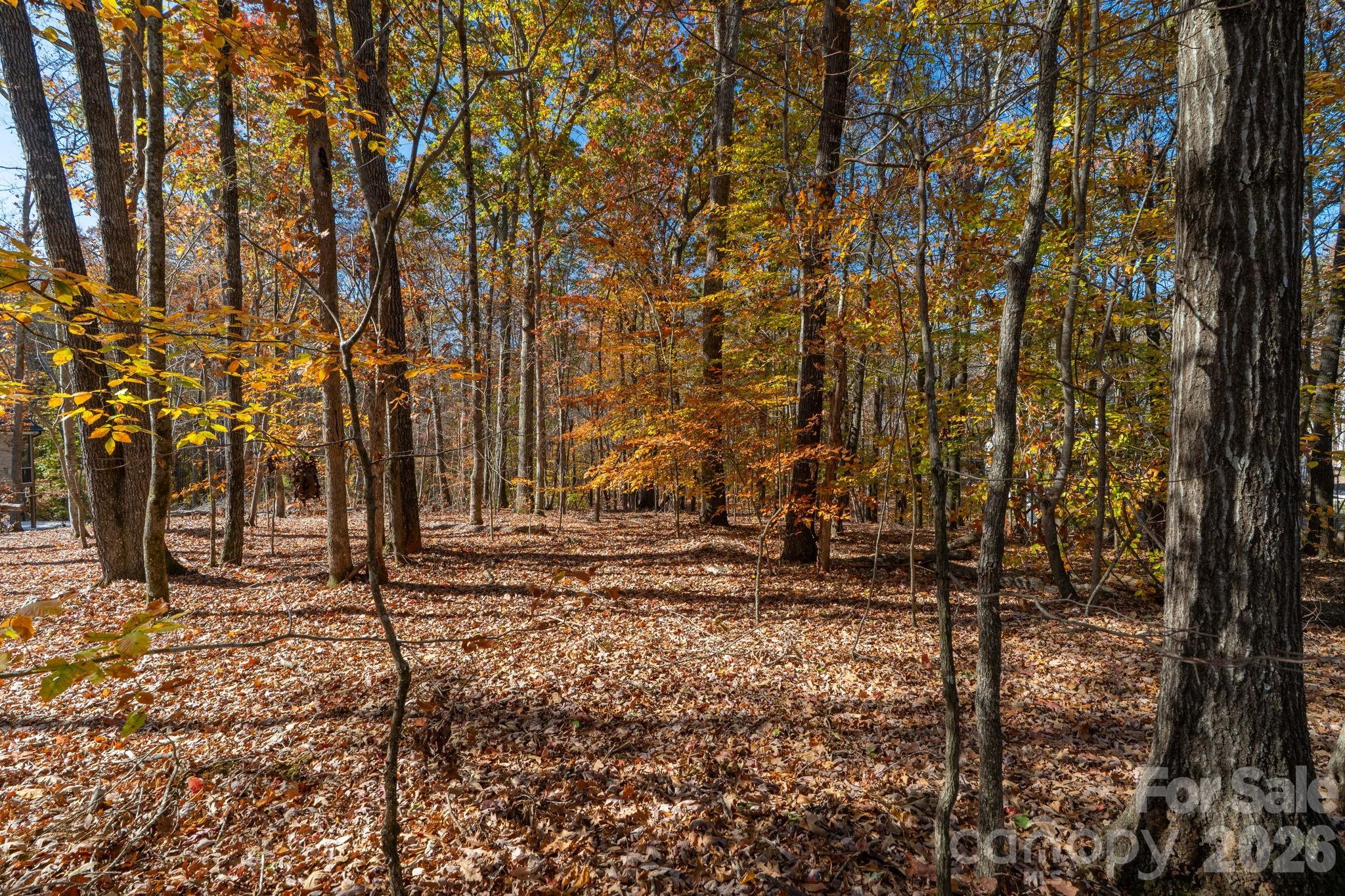 Pleasant Ridge - Land