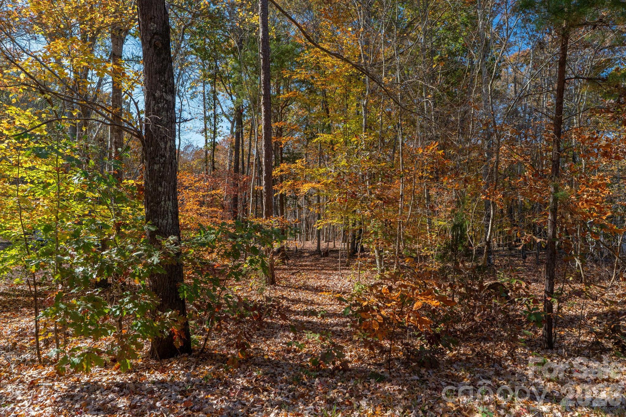 Pleasant Ridge - Land