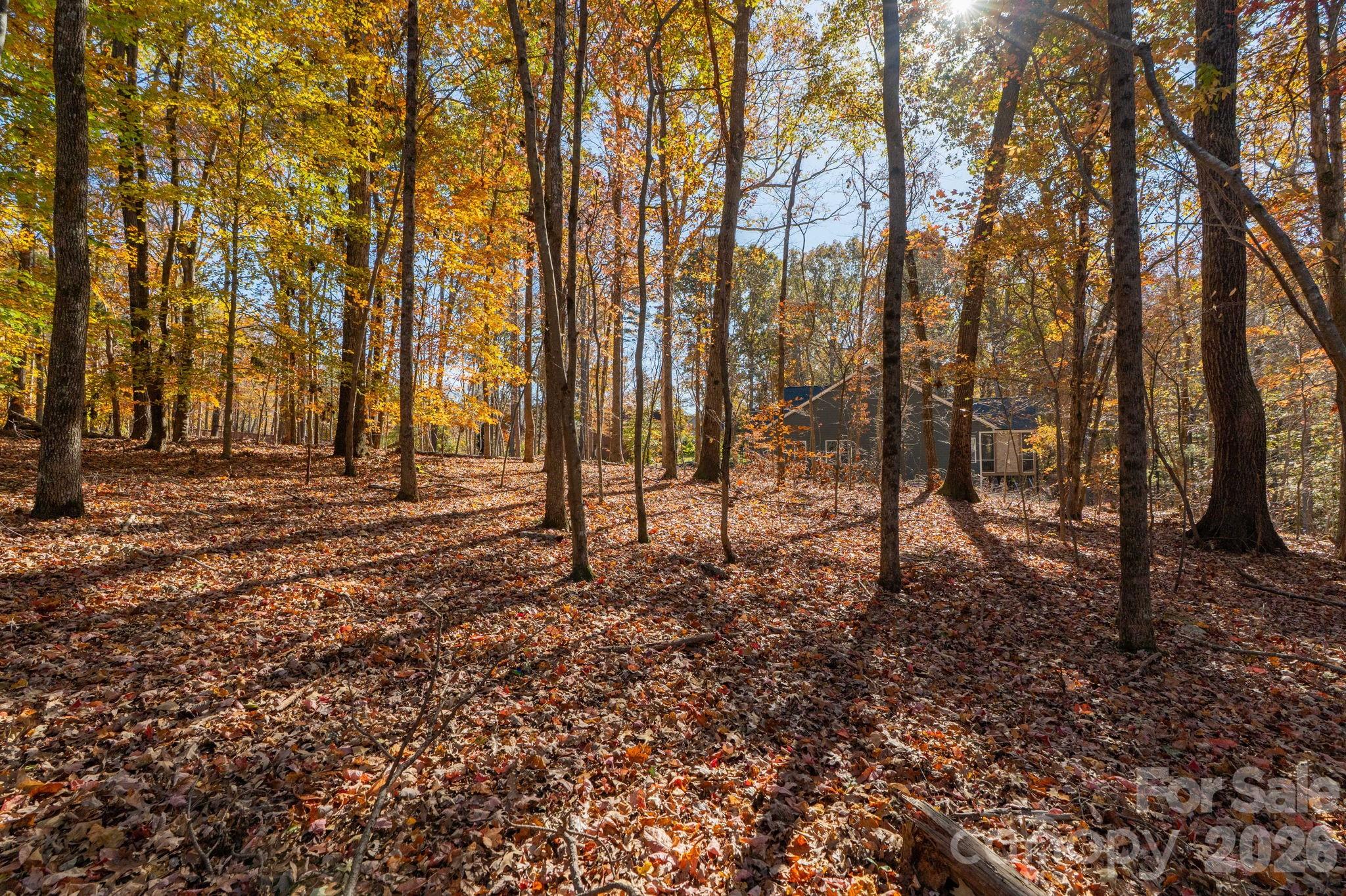 Pleasant Ridge - Land