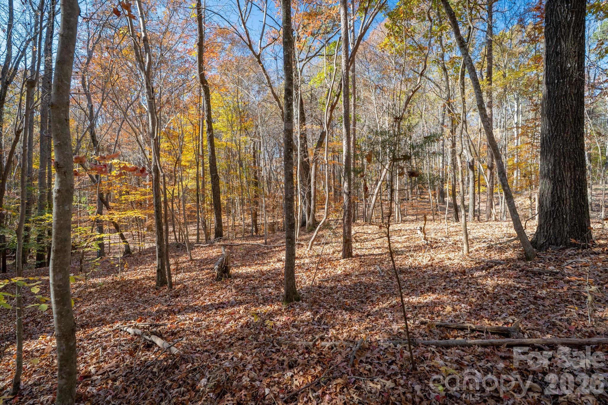 Pleasant Ridge - Land