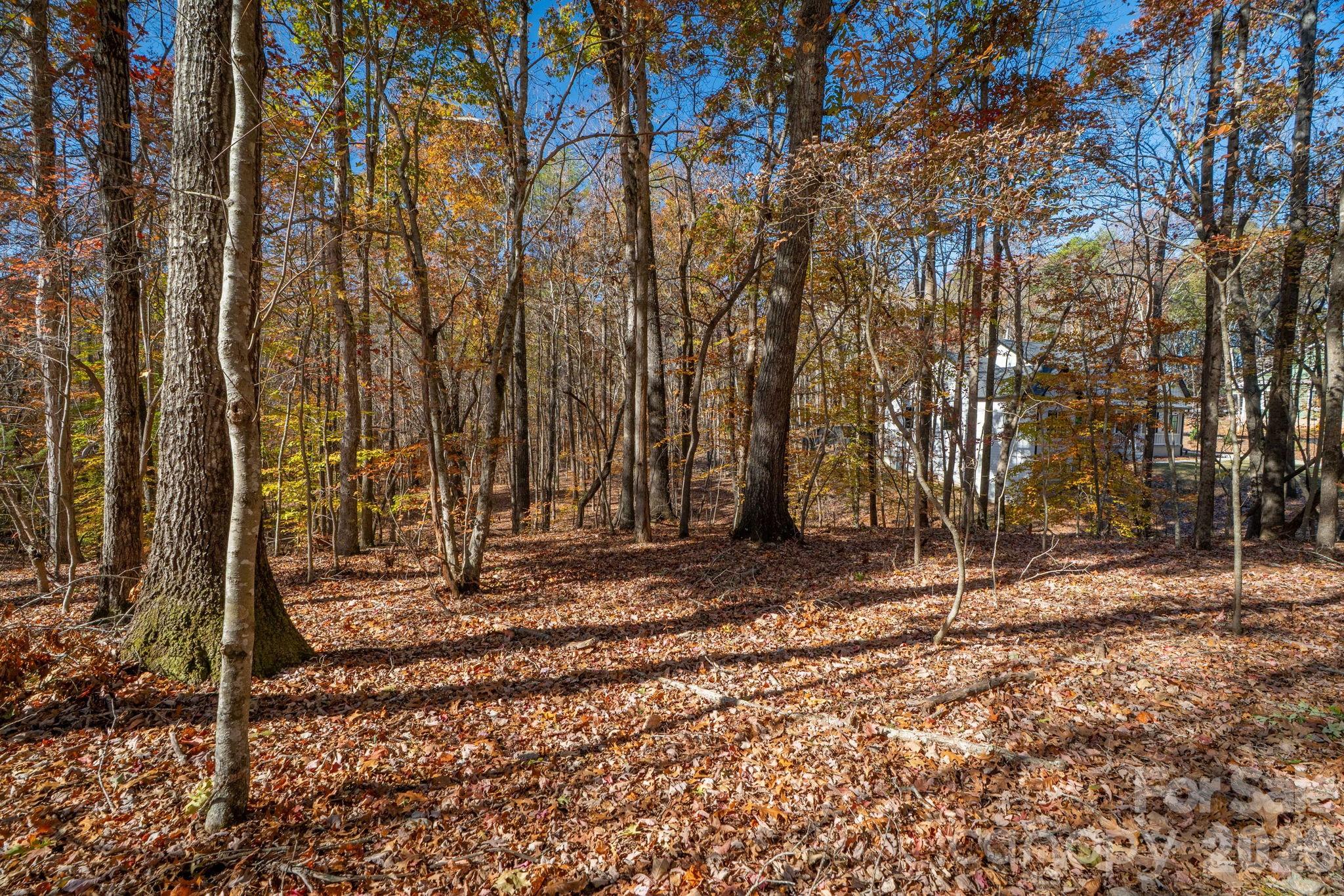 Pleasant Ridge - Land