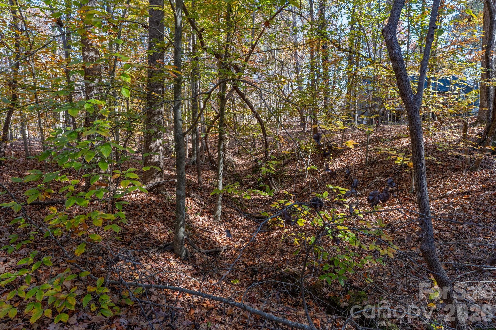 Pleasant Ridge - Land