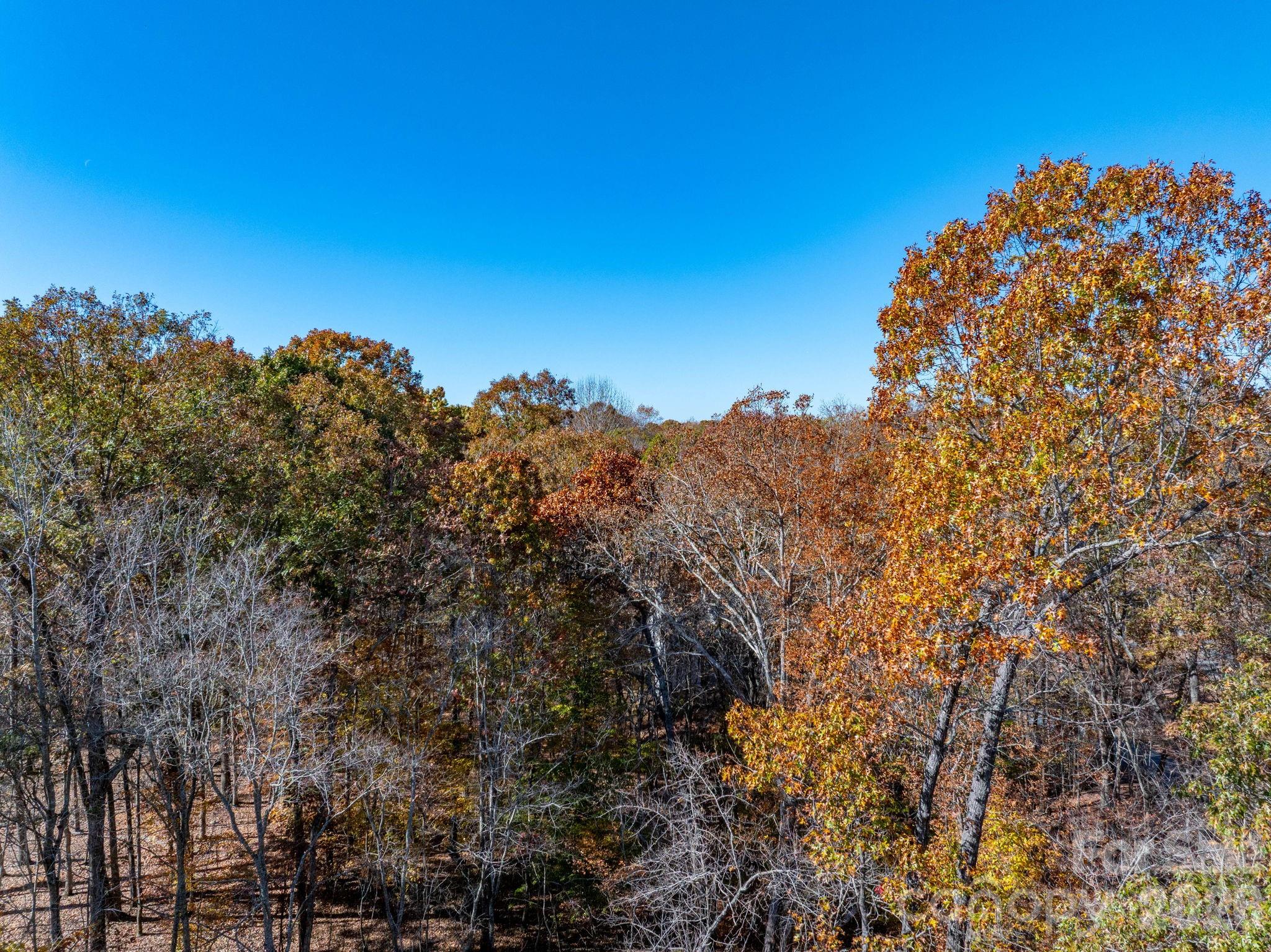 Pleasant Ridge - Land