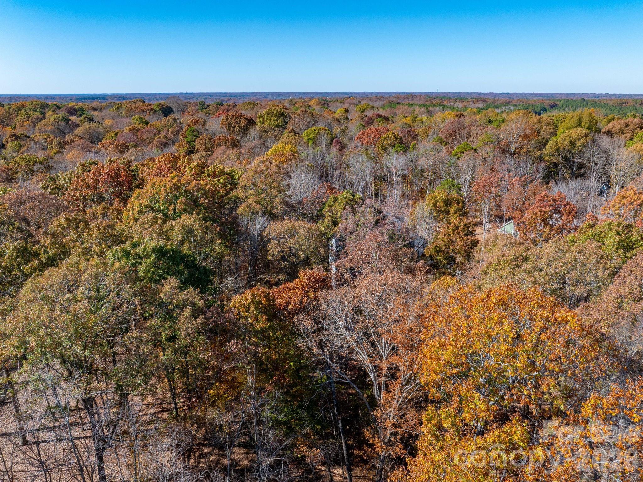 Pleasant Ridge - Land