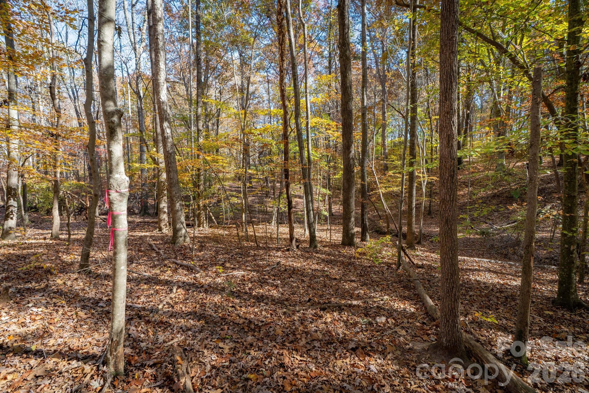 Pleasant Ridge - Land