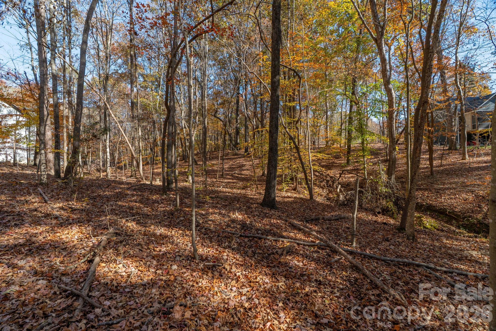 Pleasant Ridge - Land