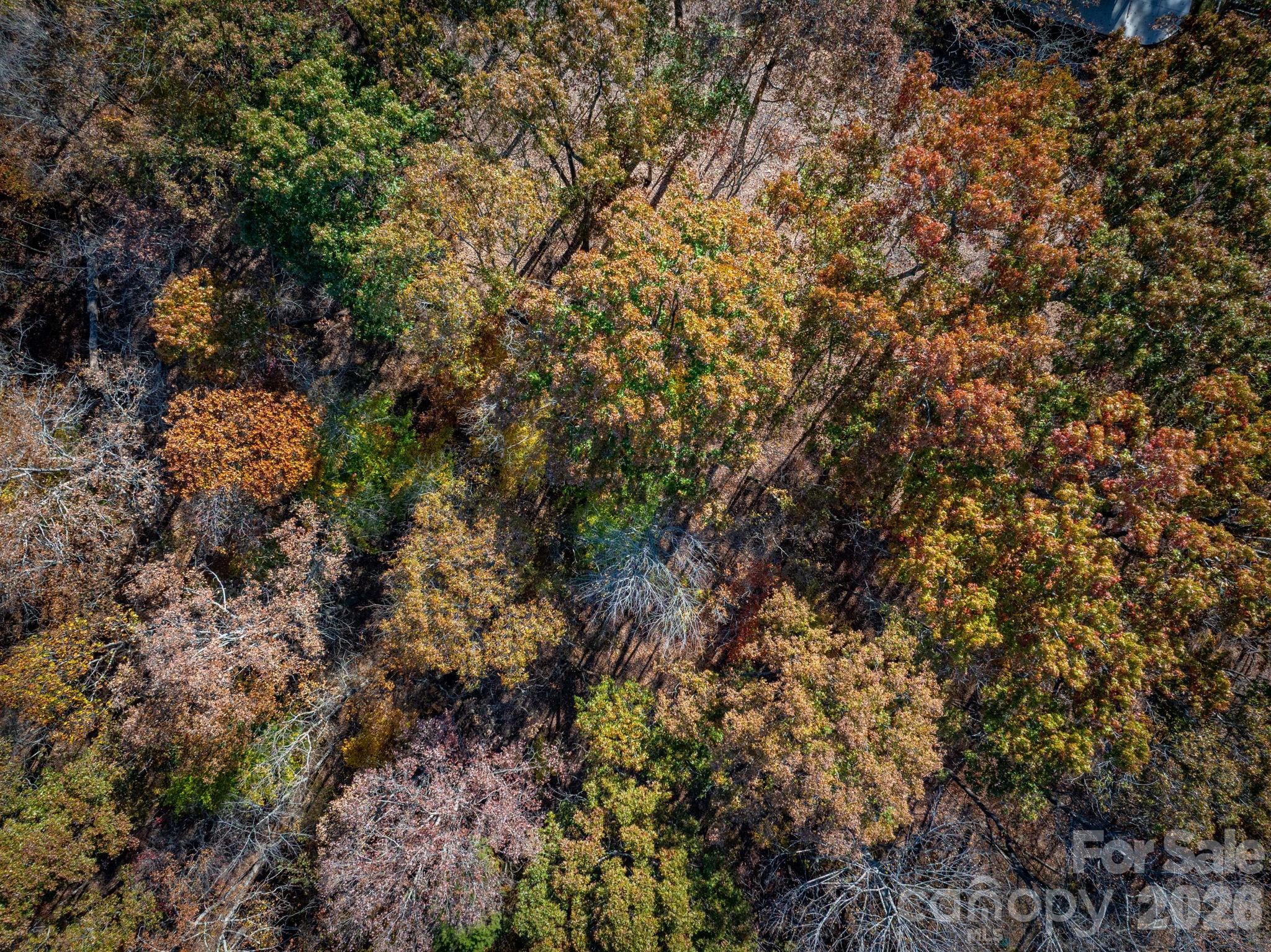 Pleasant Ridge - Land