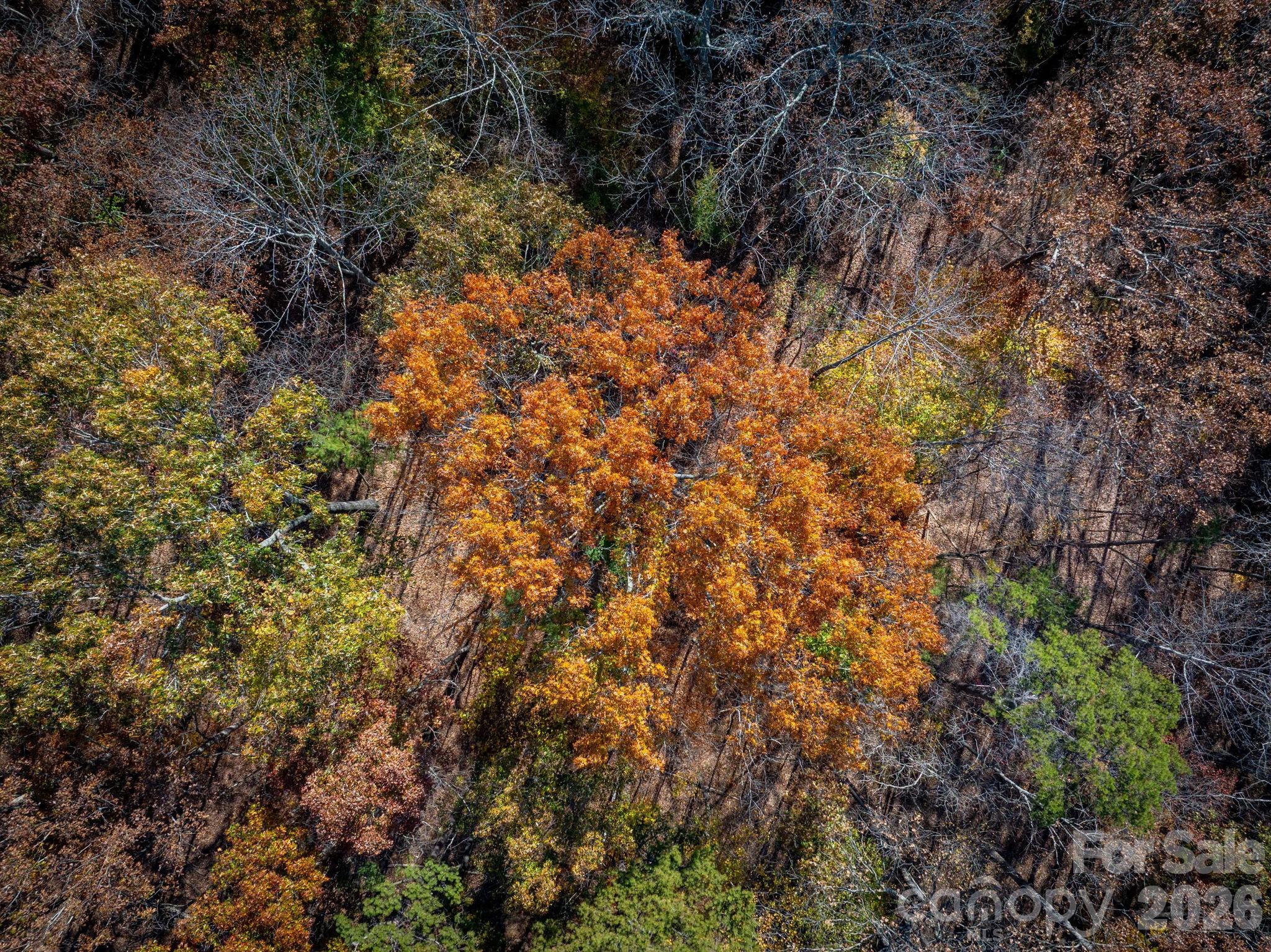 Pleasant Ridge - Land