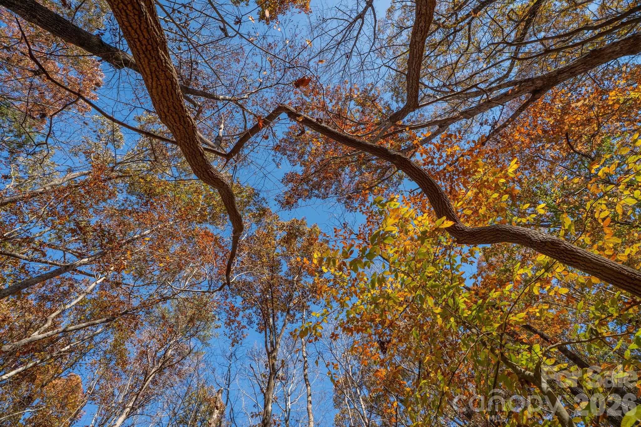 Pleasant Ridge - Land