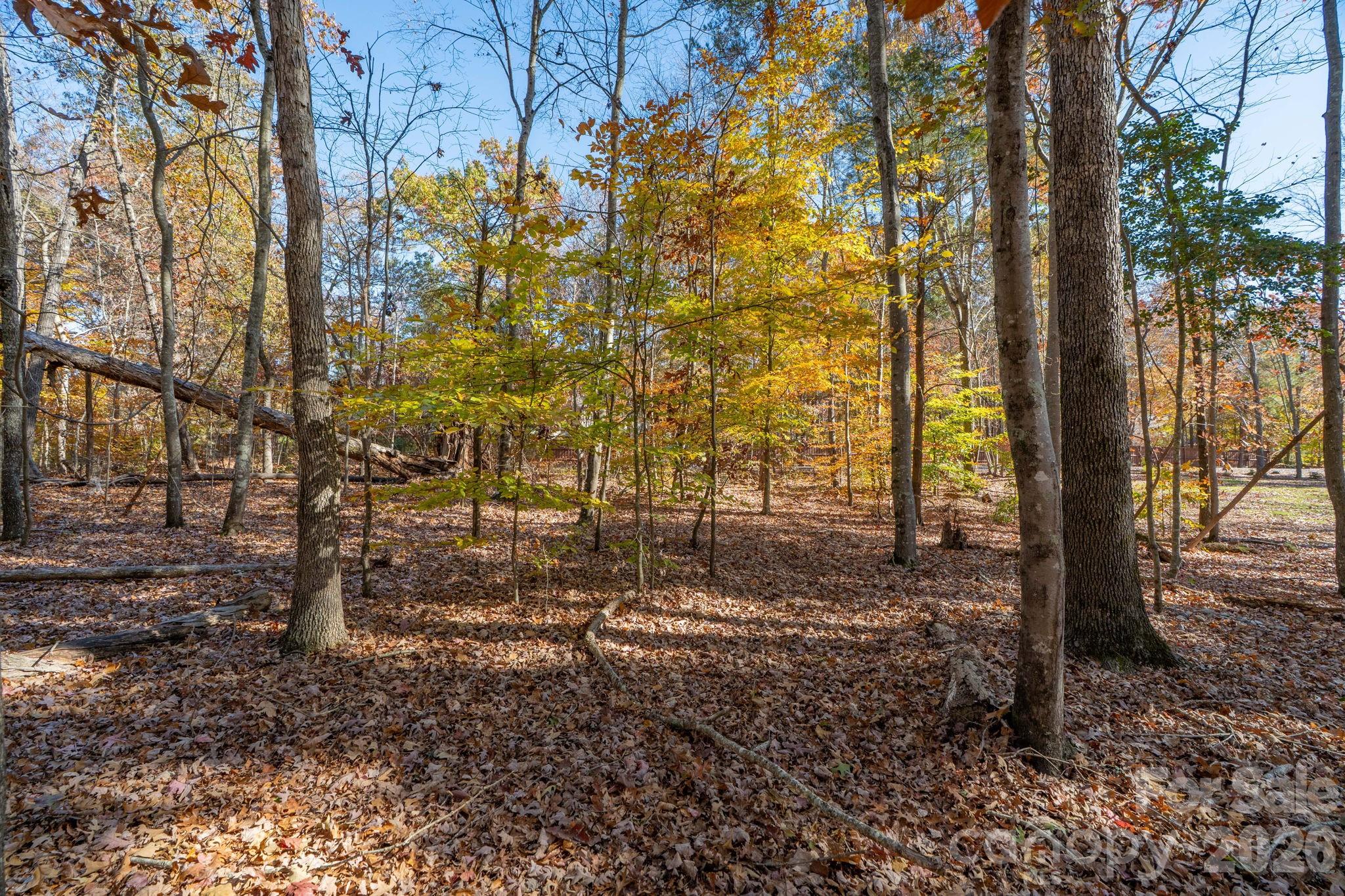 Pleasant Ridge - Land