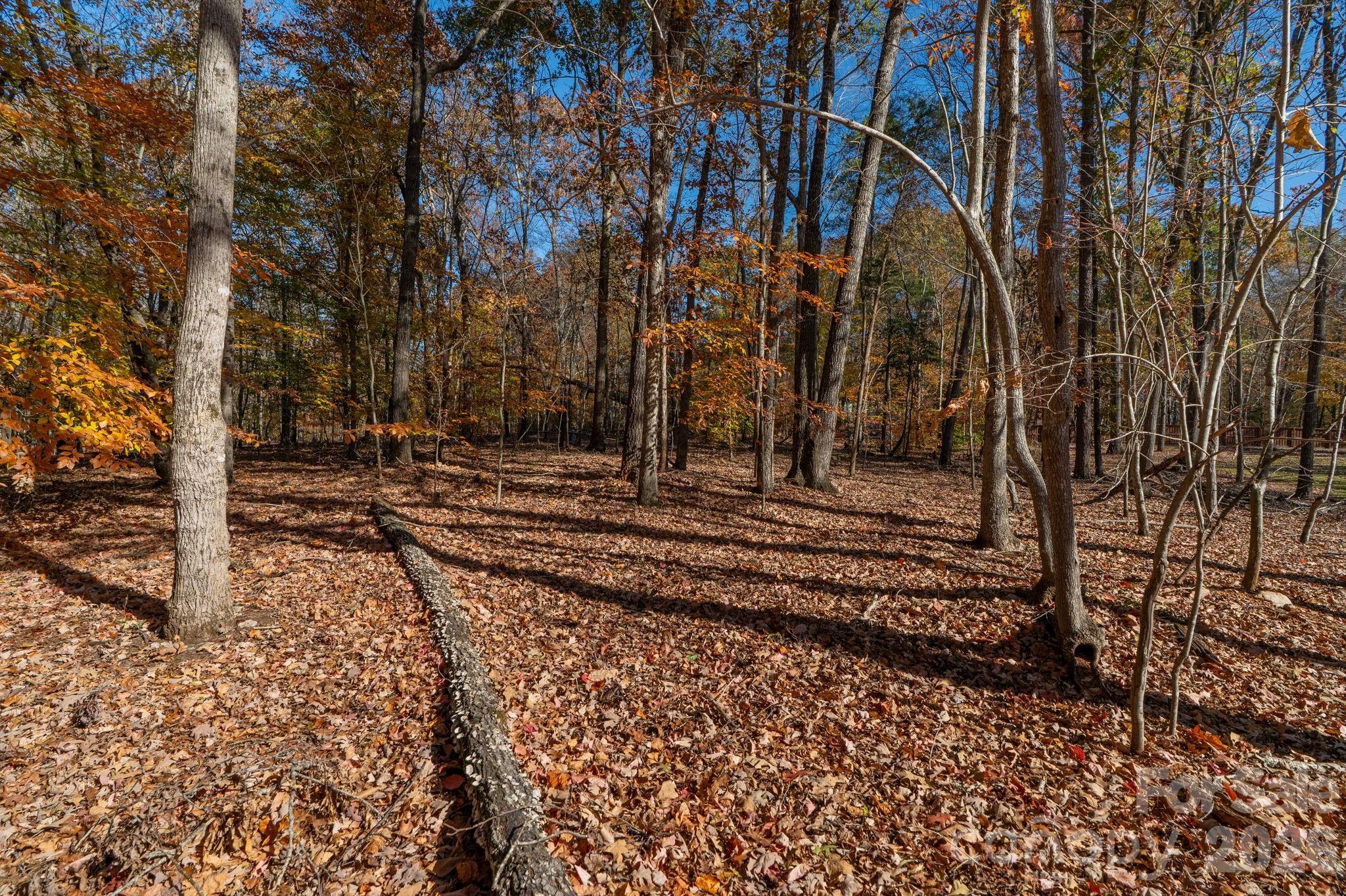 Pleasant Ridge - Land