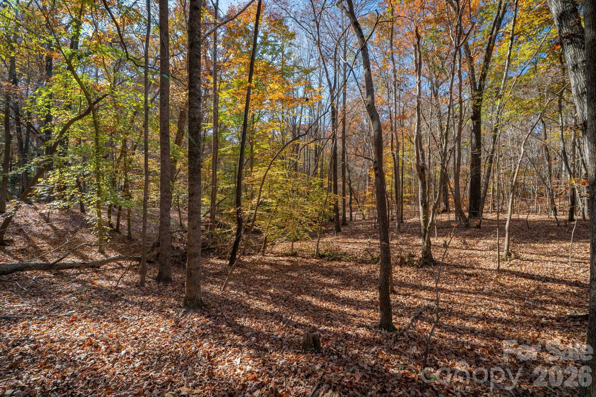 Pleasant Ridge - Land