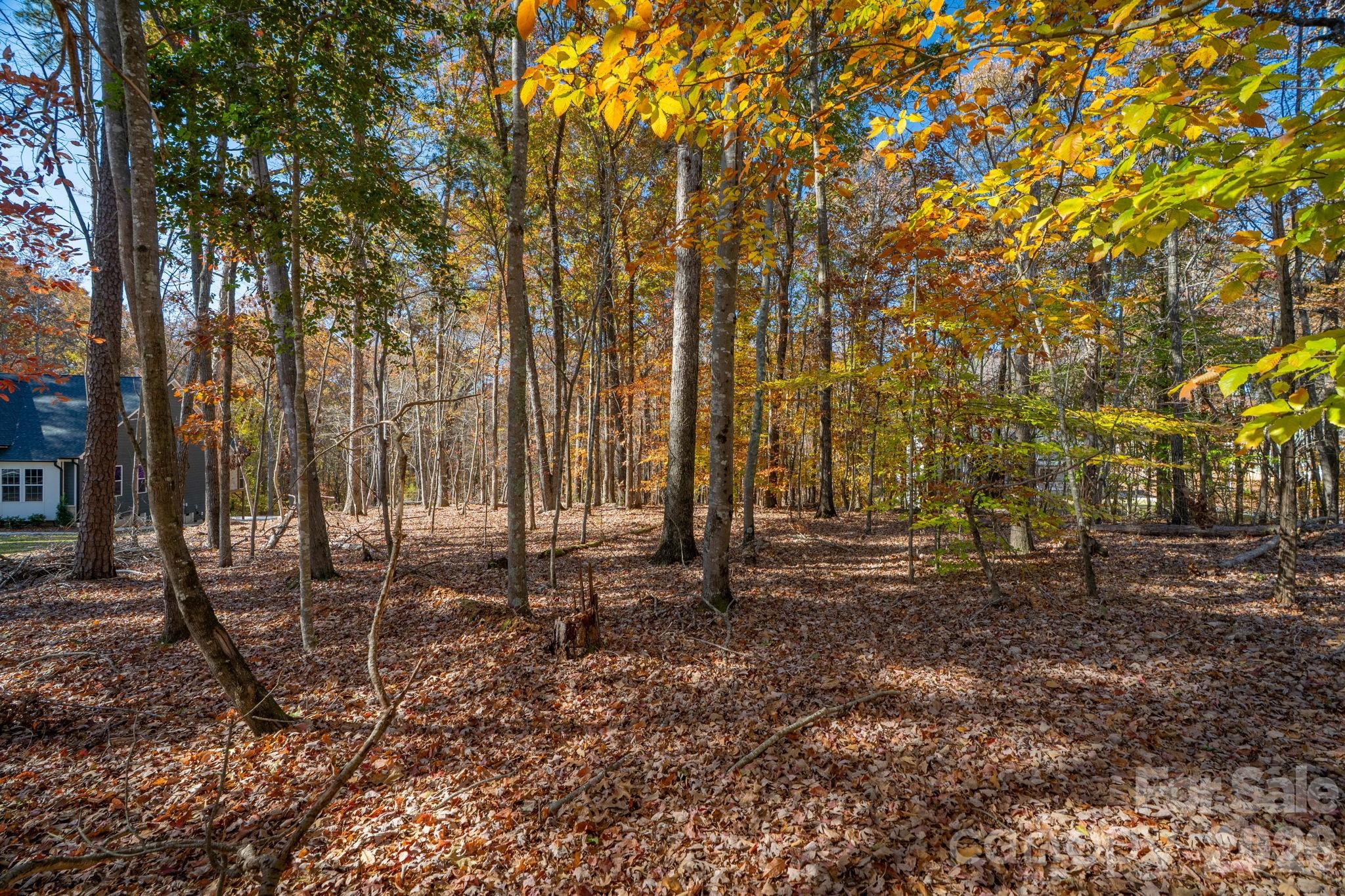 Pleasant Ridge - Land