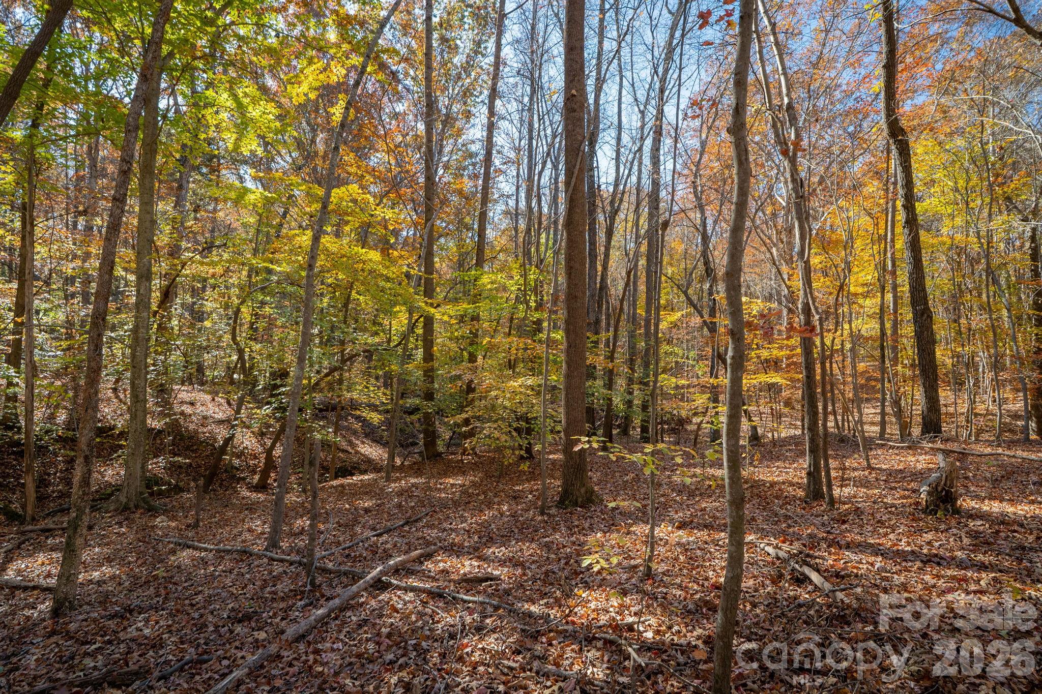 Pleasant Ridge - Land