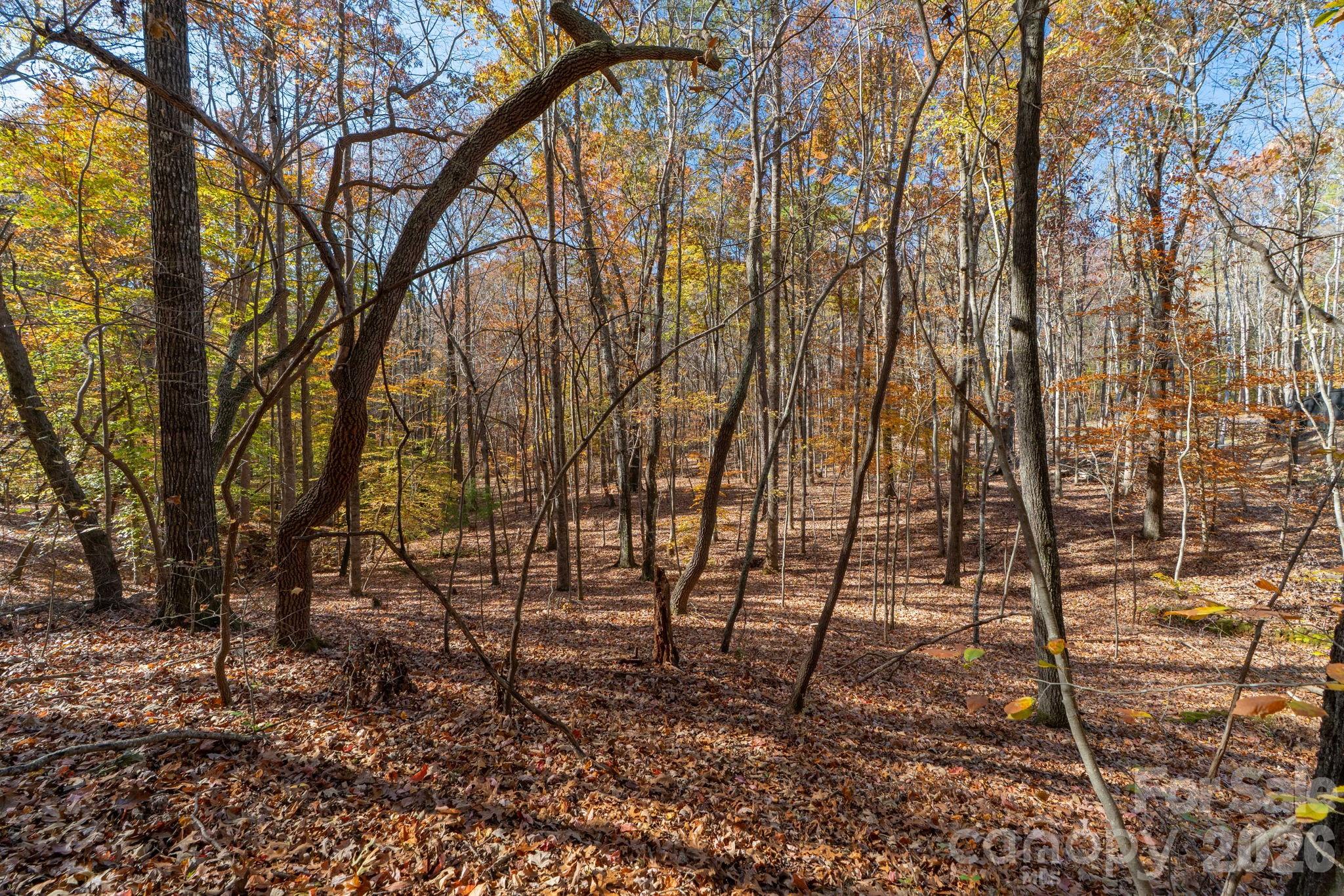 Pleasant Ridge - Land