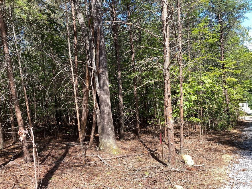 Looking for a great place to build close to town and Lake James? Just outside city limits. You will need to dig a well and install septic. About a half acre that is very level and flat. Come see today!