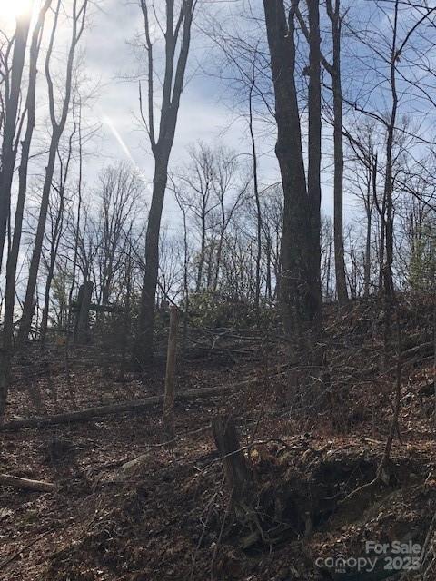 Photo 1 of 1 — 000 Marshall Ridge Road 78, Hendersonville, NC 28792