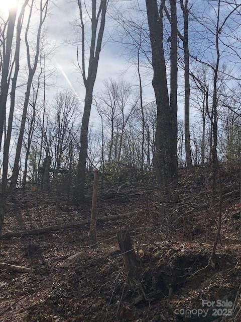 000 Marshall Ridge Road 78 Hendersonville NC 28792