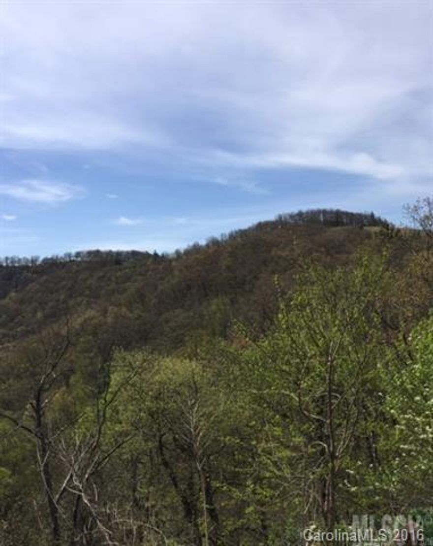 Opportunity to own a part of Appalachia History. Site of last existing "Shade Tree Garage" and local artisan/rat rod designer/builder. This is a unique chance to understand family and mountain heritage. Right around the corner from the communities of Tanawha and Greystone. Long range views of Blackberry Gorge. Minutes to the Blue Ridge Parkway.