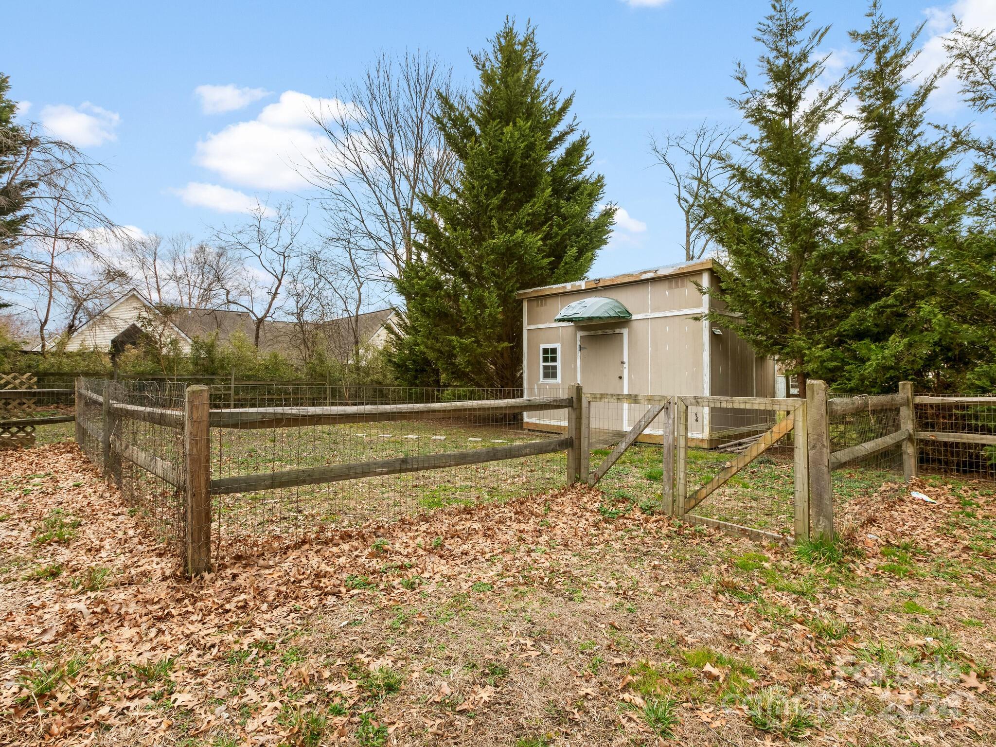 Bee Tree - Residential