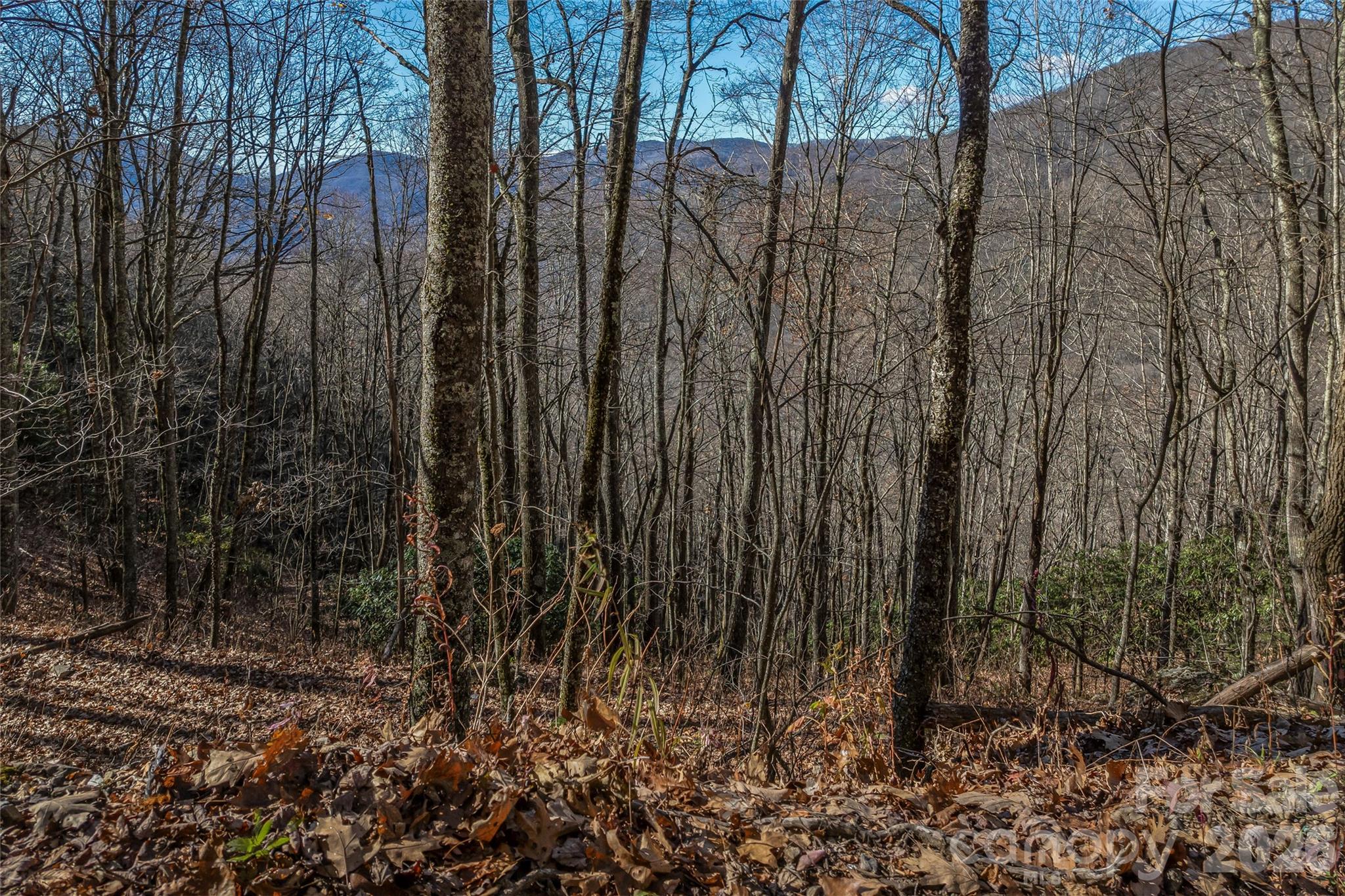 Smokey Shadows Estates - Land