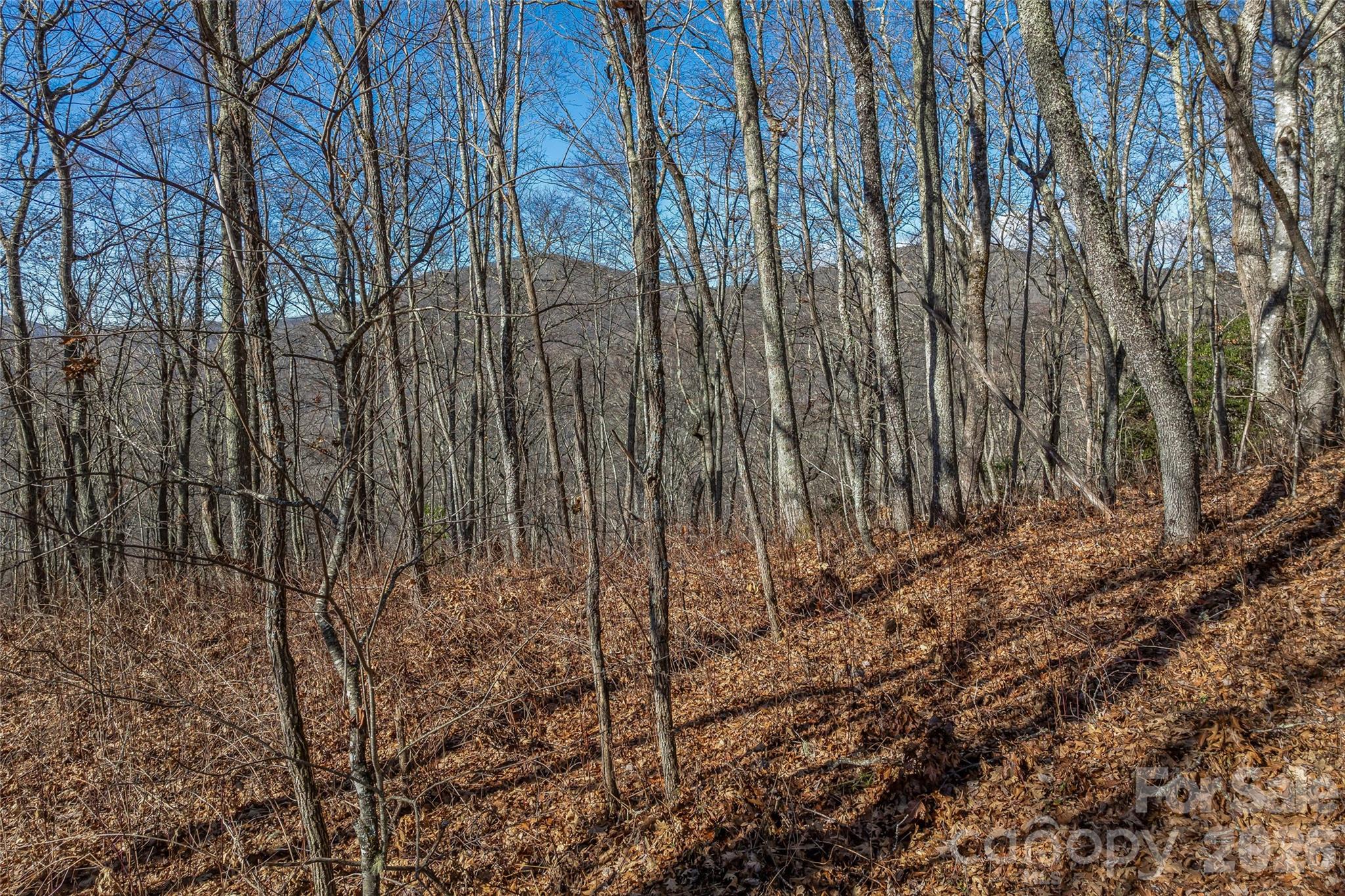 Smokey Shadows Estates - Land