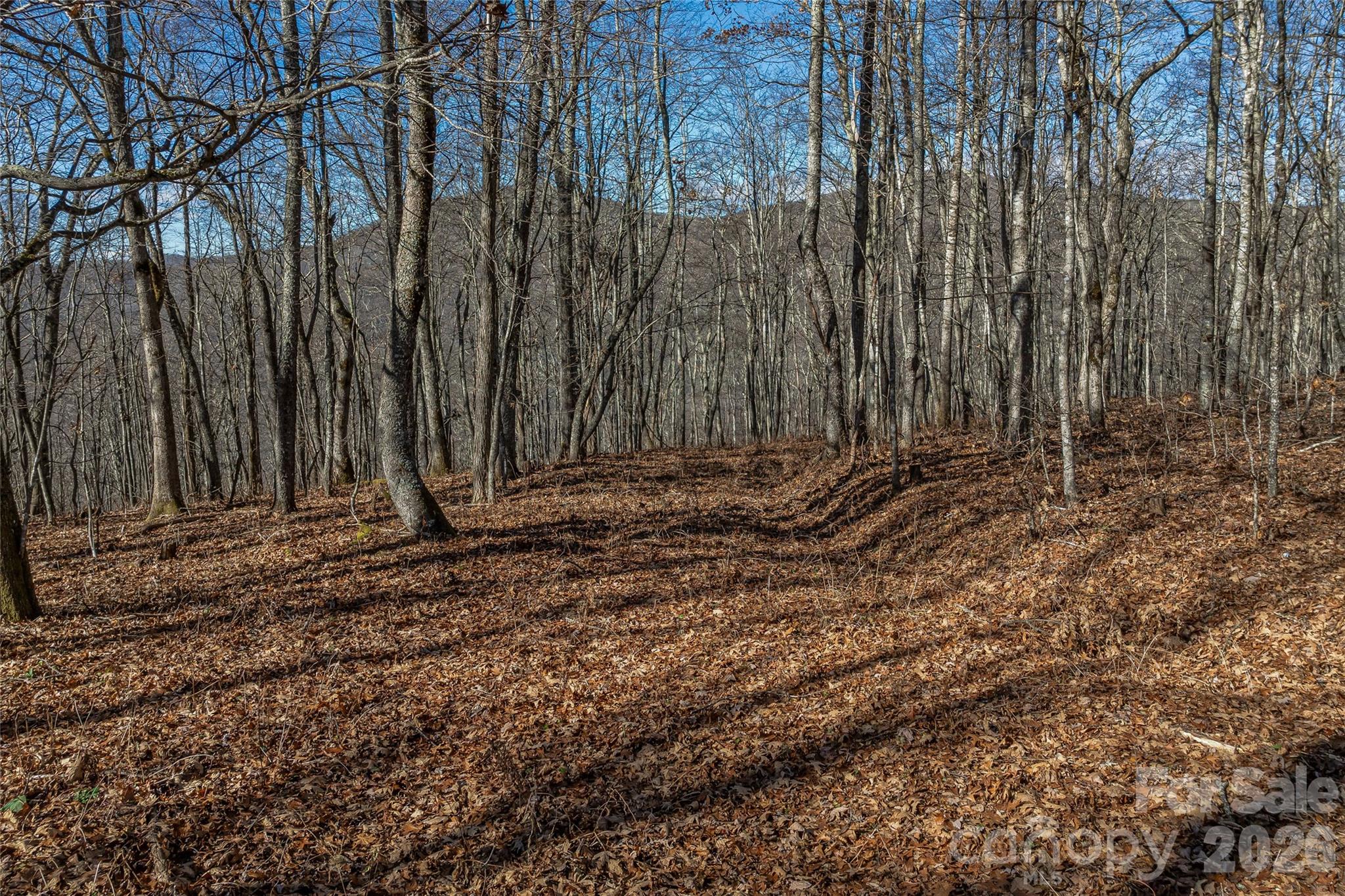 Smokey Shadows Estates - Land