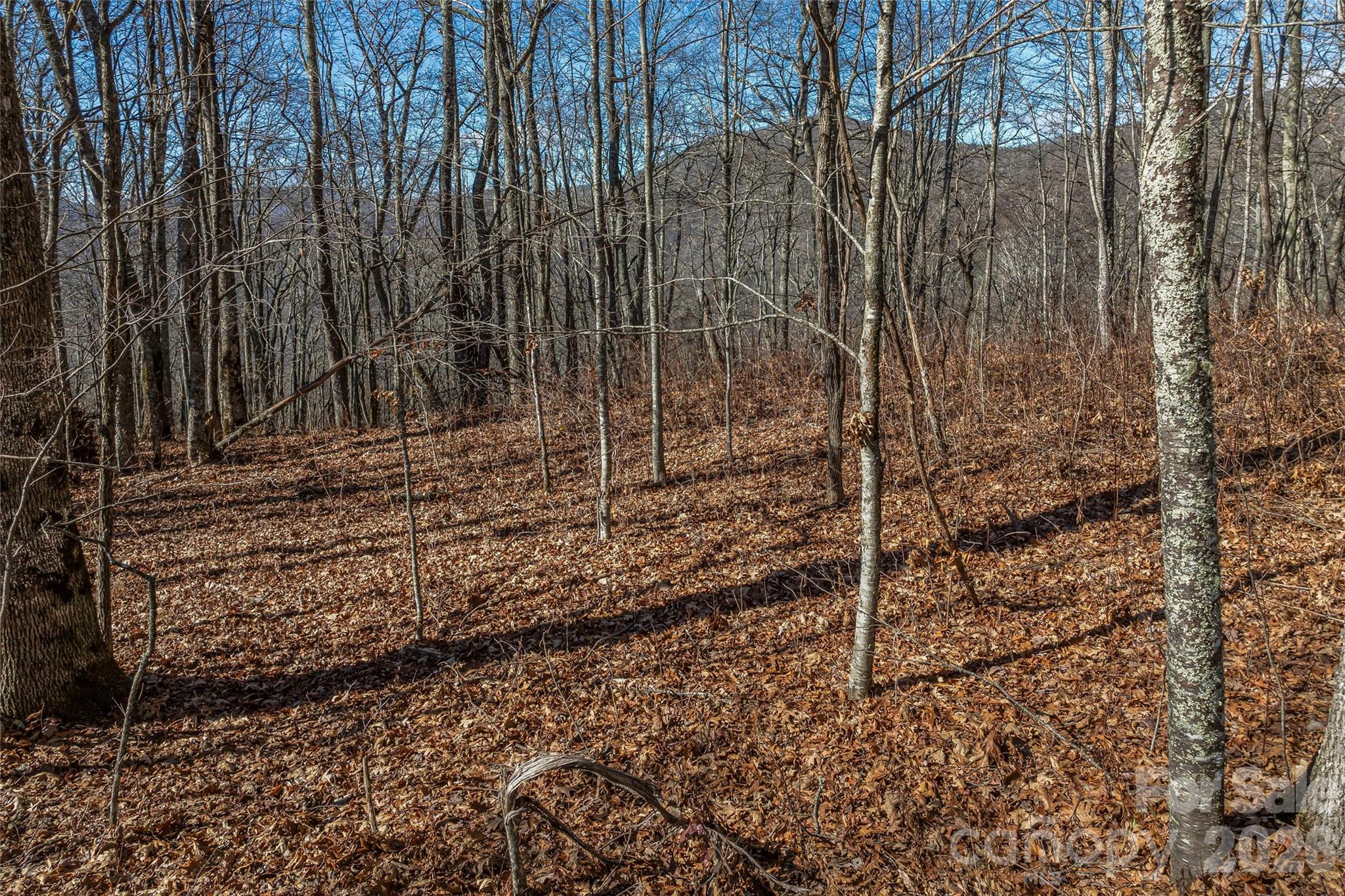 Smokey Shadows Estates - Land