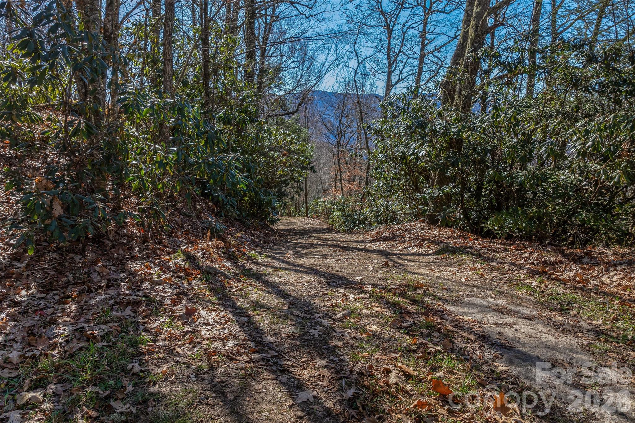 Smokey Shadows Estates - Land