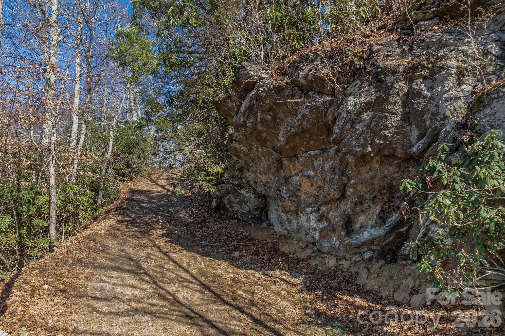 Smokey Shadows Estates - Land