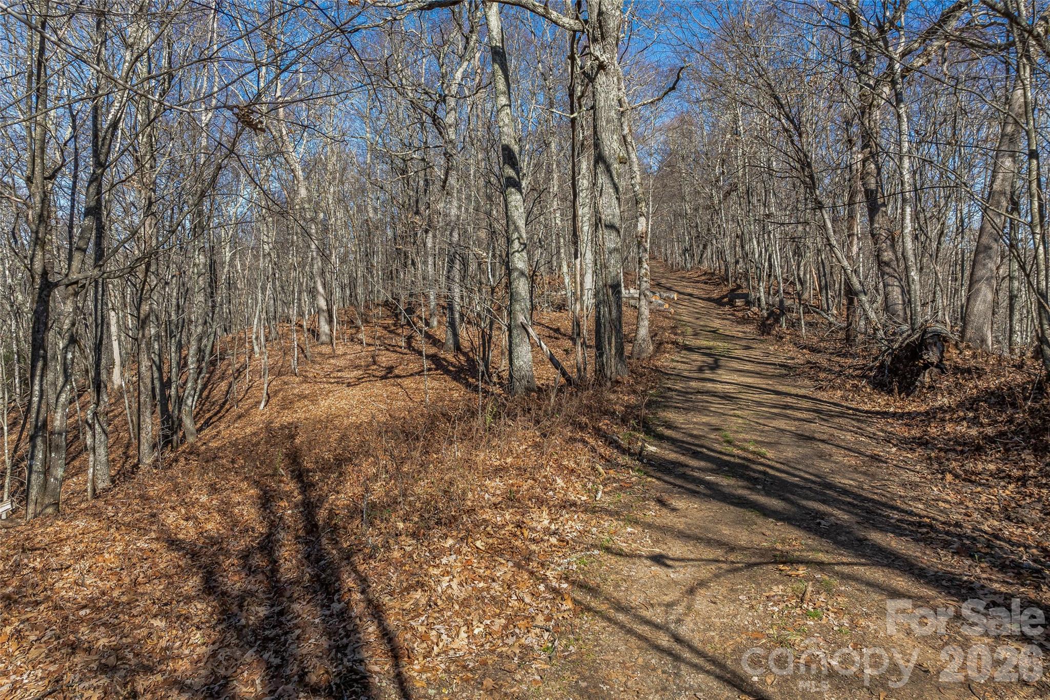 Smokey Shadows Estates - Land