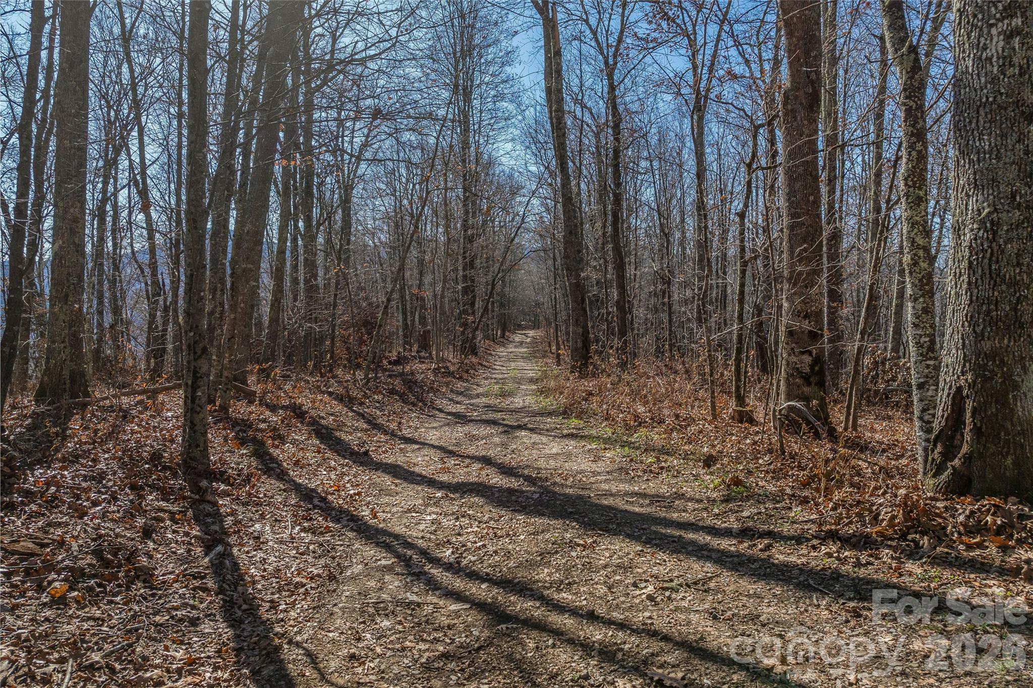 Smokey Shadows Estates - Land