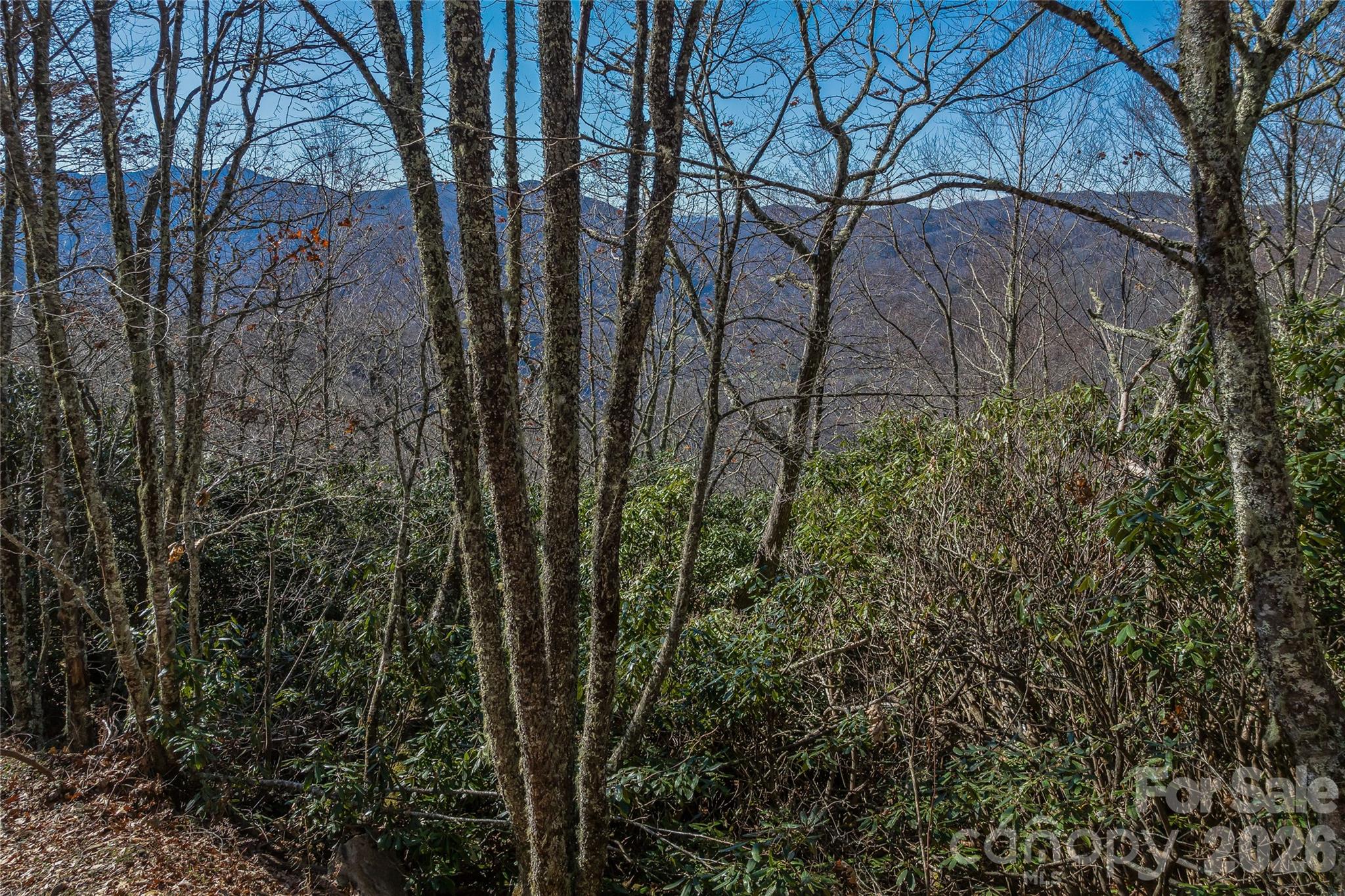 Smokey Shadows Estates - Land