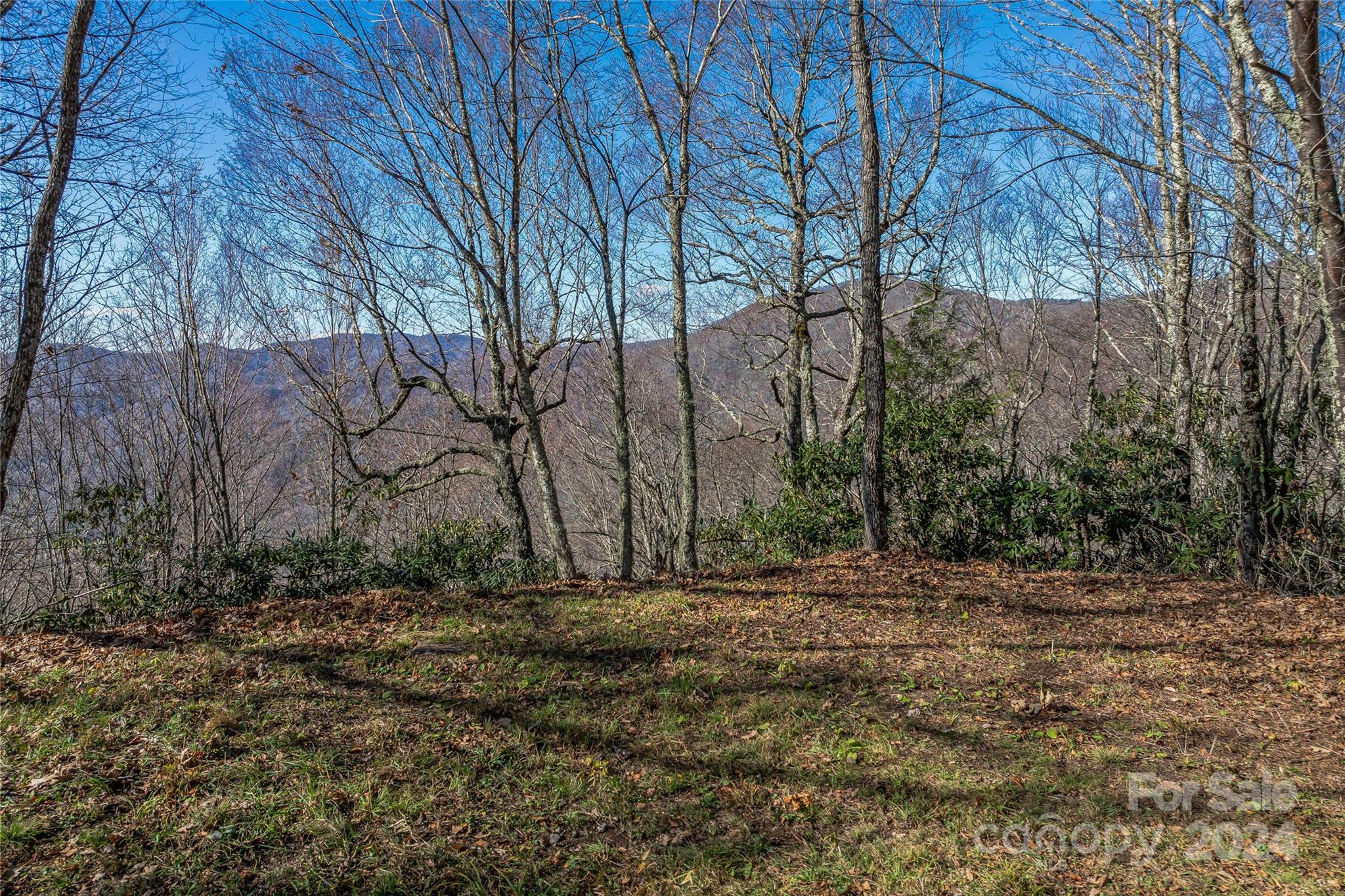 999 Braves Knob Road