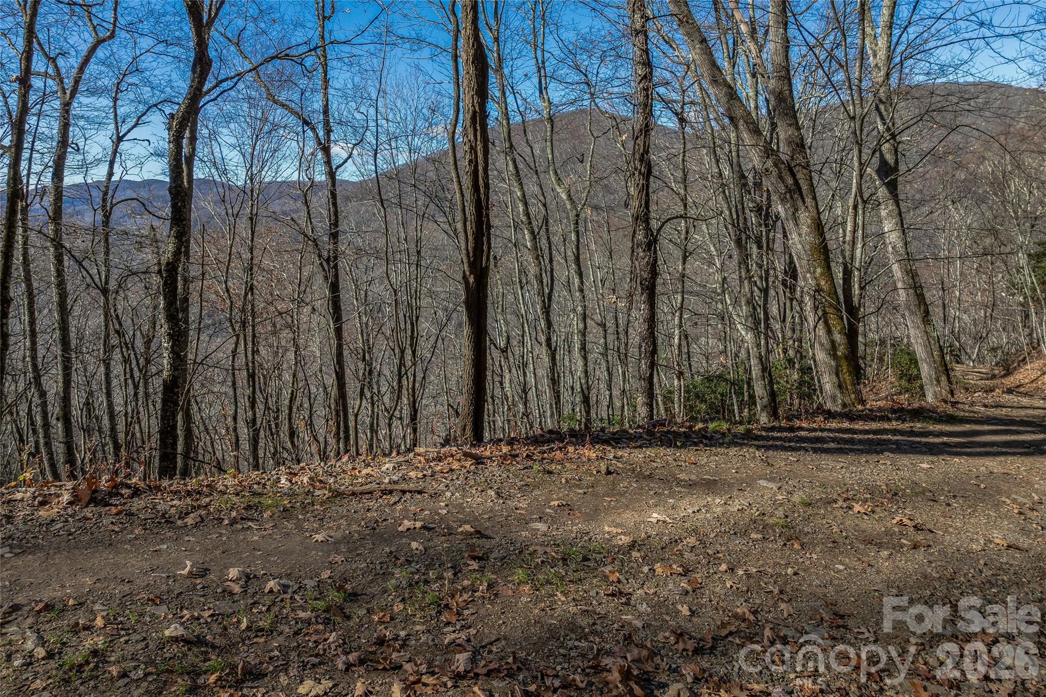 Smokey Shadows Estates - Land