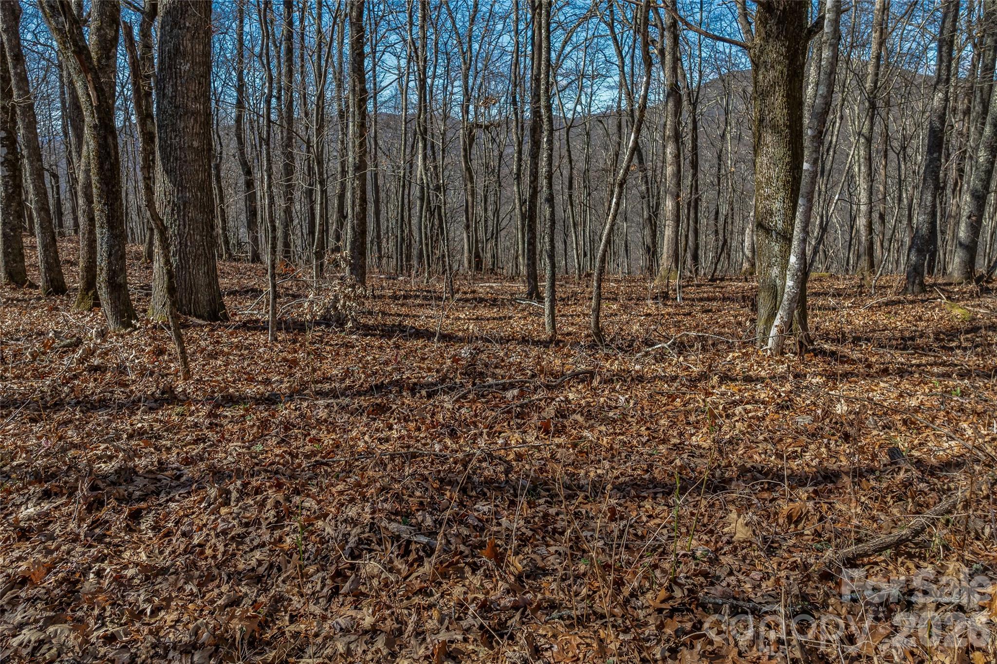 Smokey Shadows Estates - Land