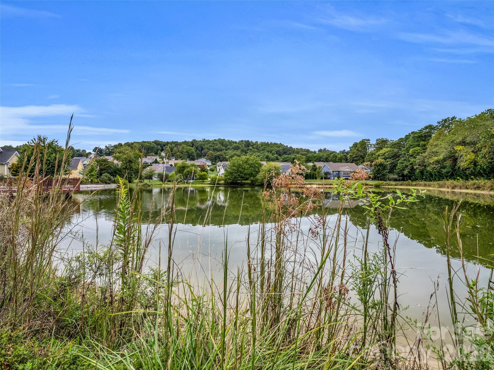 Vista at Blacksmith Run - Residential
