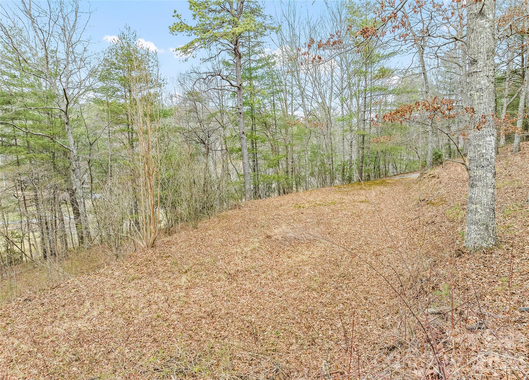 Mountain Laurel Estates - Residential