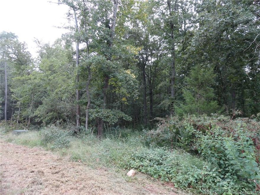 Incredible opportunity to live in one of the most sought-after areas in Fort Mill. This lot awaits your dream home. Only 3 lots left in this very private and quiet subdivision.  NO HOA.  1 acre, wooded lot on cul-de-sac street.  Award winning Fort Mill School District.  Close to shopping, restaurants, and more!