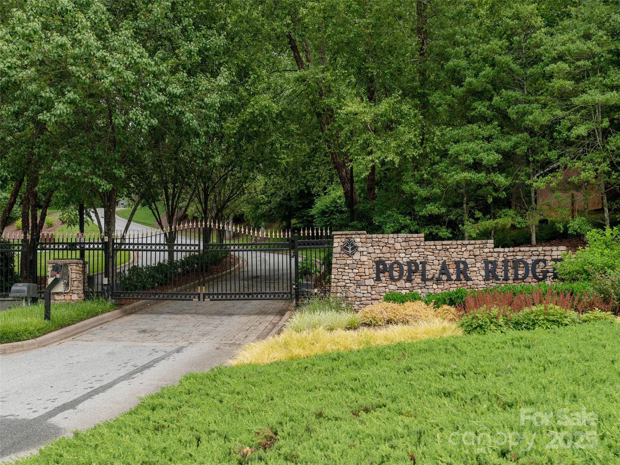 Poplar Ridge - Land